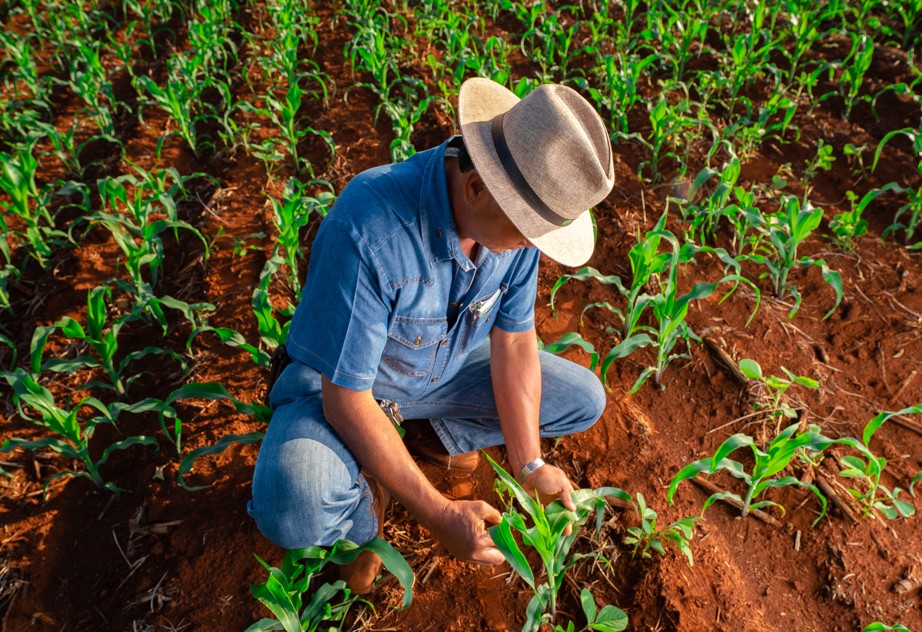Agro brasileiro alia produção recorde a práticas consolidadas de sustentabilidade - Fitec Tec News