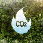 Pará enfrenta desafios na venda de créditos de carbono, entenda - Fitec Tec News