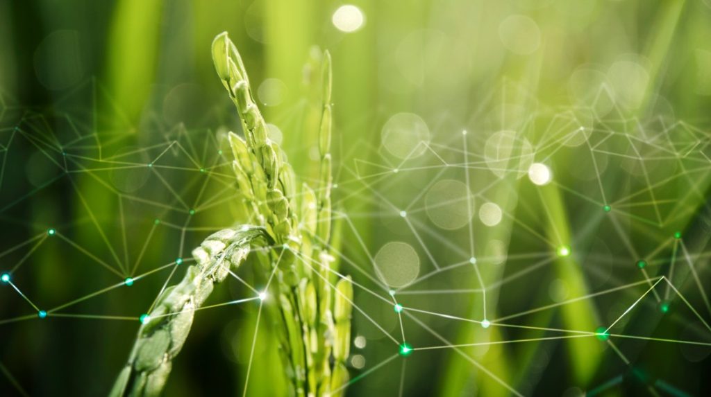 A Era da Gestão as 10 tendências que estão moldando o Agronegócio em 2026 - Fitec Tec News