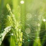 A Era da Gestão as 10 tendências que estão moldando o Agronegócio em 2026 - Fitec Tec News