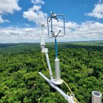 Bracell destaca em relatório remoção de 6 milhões de toneladas de CO₂ em cinco anos - Fitec Tec News