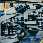 CBioClima lança portfólio de inovação com tecnologias sustentáveis para agricultura e meio ambiente - Fitec Tec News