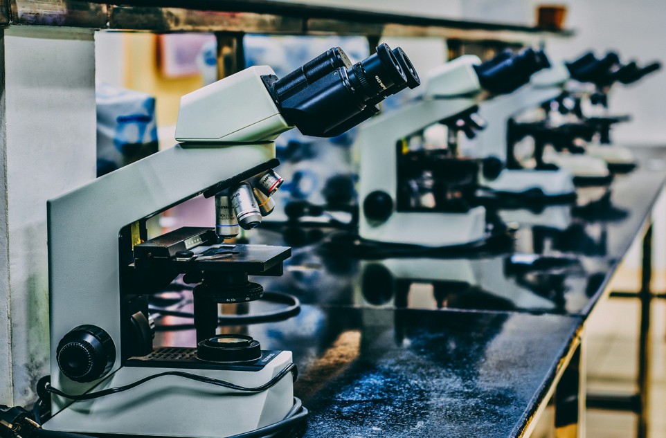 CBioClima lança portfólio de inovação com tecnologias sustentáveis para agricultura e meio ambiente - Fitec Tec News