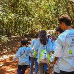 Educação ambiental leva esperança na regeneração de nascentes e florestas - Fitec Tec News
