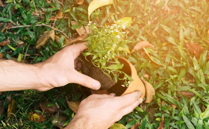 Especial Soluções baseadas na Natureza (SbN) alicerçam a resiliência das cidades - Fitec Tec News