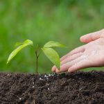 Leilão Eco Invest Brasil fertilizantes verdes semeiam investimentos ESG - Fitec Tec News