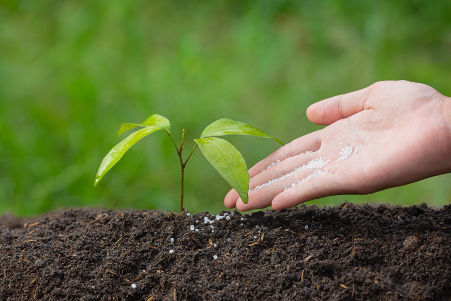 Leilão Eco Invest Brasil fertilizantes verdes semeiam investimentos ESG - Fitec Tec News
