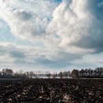 Terras degradadas viram ativo bilionário e abrem nova fronteira de investimento no agro - Fitec Tec News