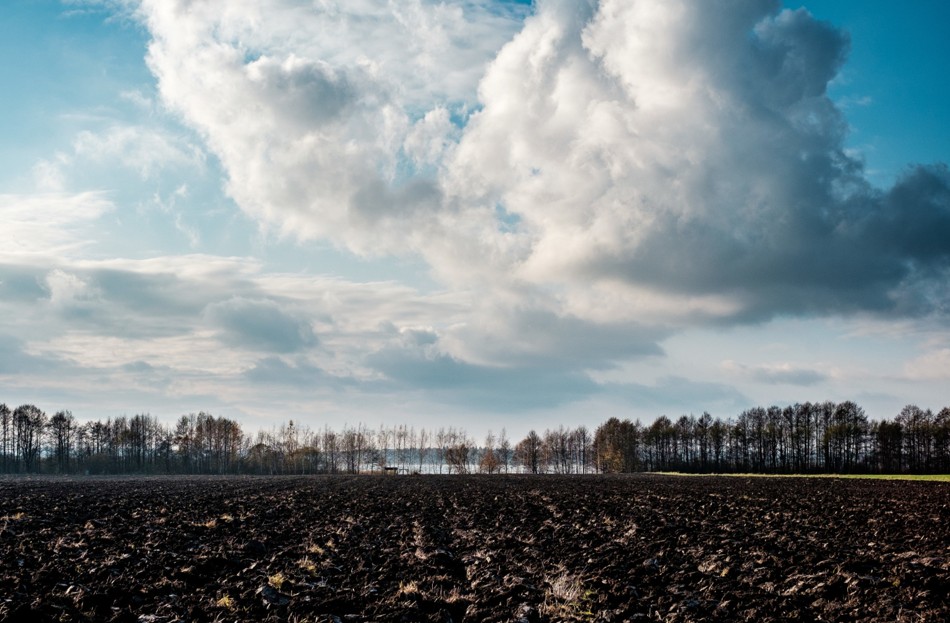 Terras degradadas viram ativo bilionário e abrem nova fronteira de investimento no agro - Fitec Tec News