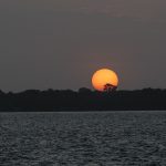 El Niño raro e veloz ameaça intensificar o cenário de calor extremo no país - Fitec Tec News