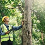 Engenharia Ambiental e Gestão Sustentável dominam a lista das 10 profissões mais procuradas no Google- Portal Tec News
