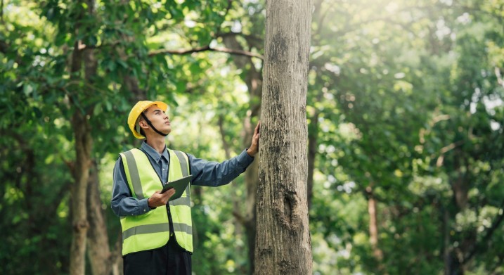 Engenharia Ambiental e Gestão Sustentável dominam a lista das 10 profissões mais procuradas no Google- Portal Tec News