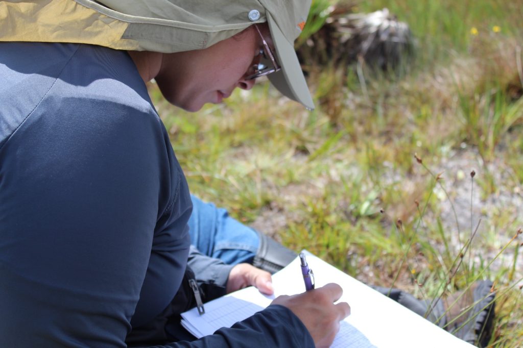 FUNBIO abre inscrições para a 9ª edição de programa que apoia pesquisas aplicadas de campo em conservação ambiental - Fitec Tec News