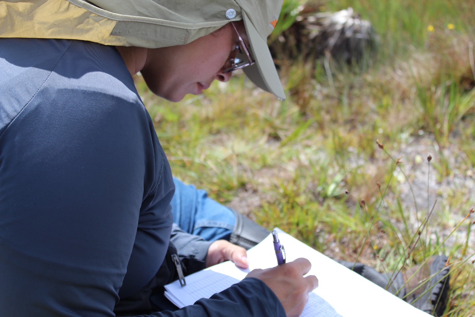 FUNBIO abre inscrições para a 9ª edição de programa que apoia pesquisas aplicadas de campo em conservação ambiental - Fitec Tec News