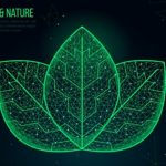Inteligência Artificial é ferramenta para atenuar risco climático no agro - Portal Tec News
