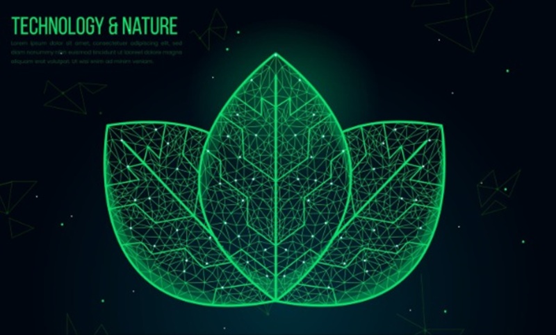 Inteligência Artificial é ferramenta para atenuar risco climático no agro - Portal Tec News
