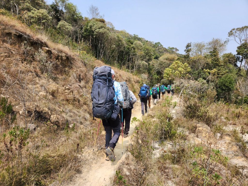 Gear Tips oficializa curso acessível focado em reduzir os impactos do turismo na natureza - Portal Tec News
