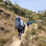 Gear Tips oficializa curso acessível focado em reduzir os impactos do turismo na natureza - Portal Tec News