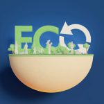 ICMS Ecológico vira o grande motor de desenvolvimento dos municípios brasileiros - Portal Tec News