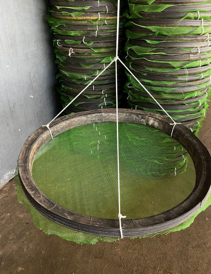 Pneus reciclados são usados na produção de camarão no Nordeste - Portal Tec News