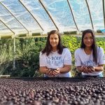 Protagonismo feminino abrilhanta a sustentabilidade - Portal Tec News