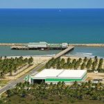 Veracel faz 35 anos integrando produção florestal, preservação e impacto social - Portal Tec News