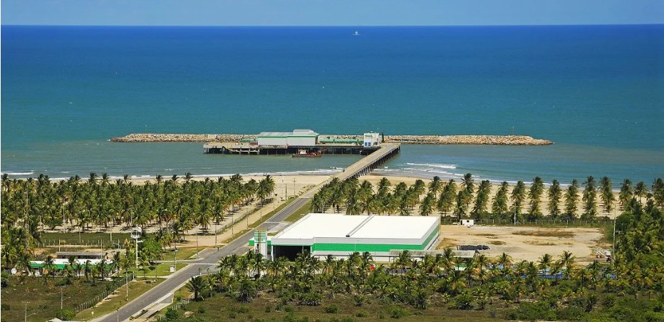 Veracel faz 35 anos integrando produção florestal, preservação e impacto social - Portal Tec News
