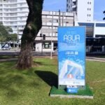 Primavera chega ao país sob alerta climático e demanda por adaptação urbana - Portal Tec News