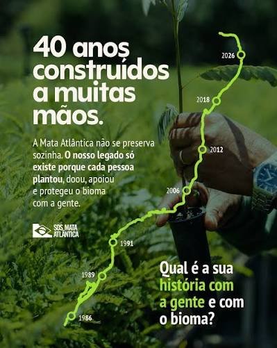 Imagem aleatória