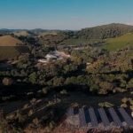 Cafeicultura combina lavouras com plantio de árvores no Brasil - Portal Tec News