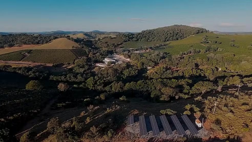 Cafeicultura combina lavouras com plantio de árvores no Brasil - Portal Tec News