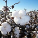 Com certificações e reciclagem, setor têxtil fortalece a moda consciente - Portal Tec News