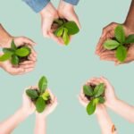 Crédito financeiro o boom verde que transforma ideias em lucro real - Portal Tec News