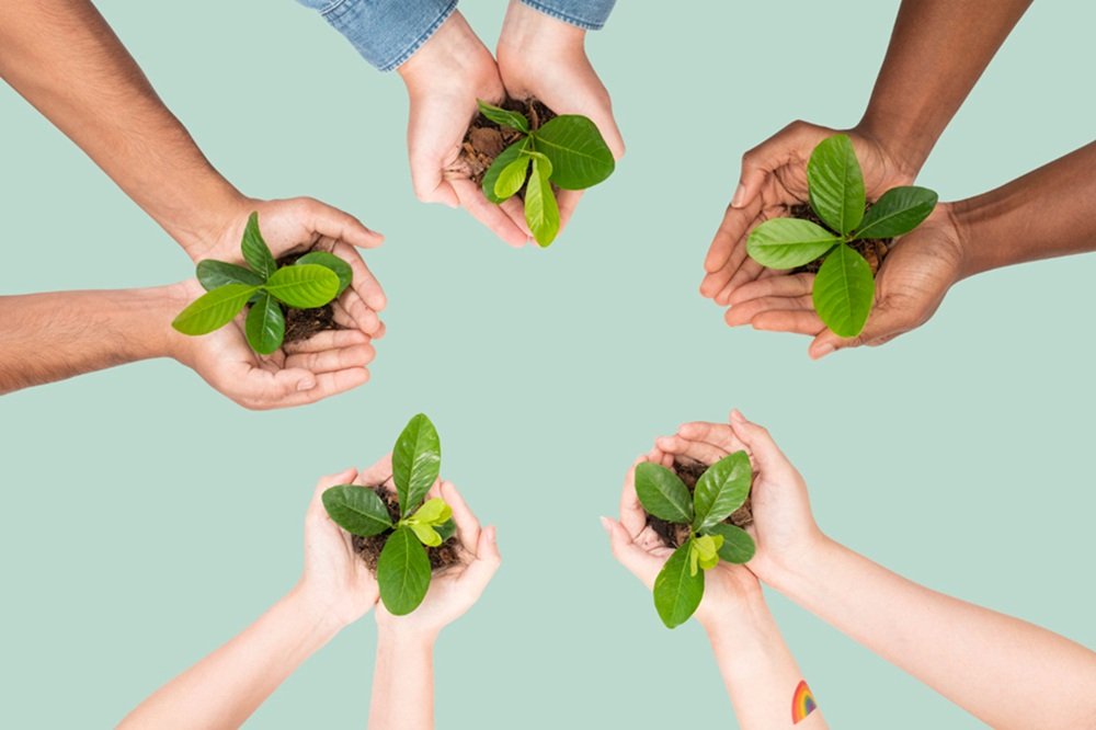 Crédito financeiro o boom verde que transforma ideias em lucro real - Portal Tec News
