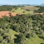 Métodos inovadores transformam a compensação ambiental no Brasil - Portal Tec News